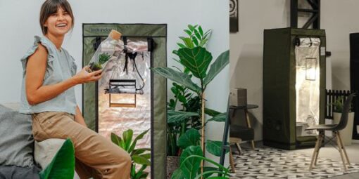 Growshop em São Paulo: descubra onde encontrar equipamentos de cultivo indoor com suporte especializado