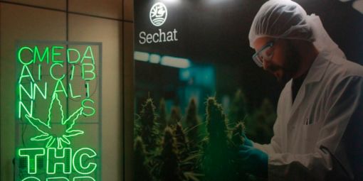 Medical Cannabis Fair 2025: Leds Indoor participa da principal feira do setor canábico medicinal no Brasil